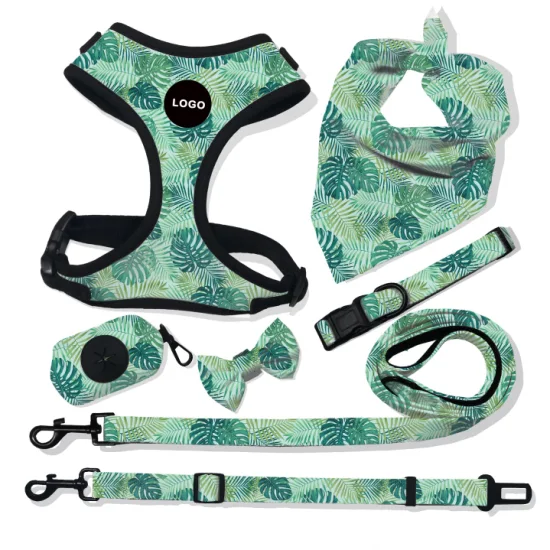 Eco-Friendly Pet Products 2021 Fashion Sublimation Dog Harness Personalized Custom Pattern Dog Supplies