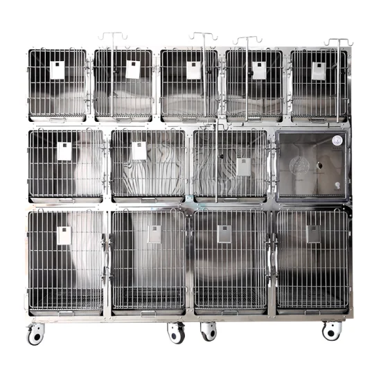 China Best Selling Cage Cat Dog Veterinary Stainless Steel Vet Cages Factory Supply